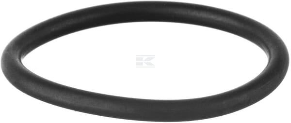 O-Ring