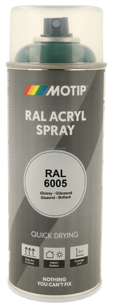 RAL 6005 Acrylspray Moosgrün