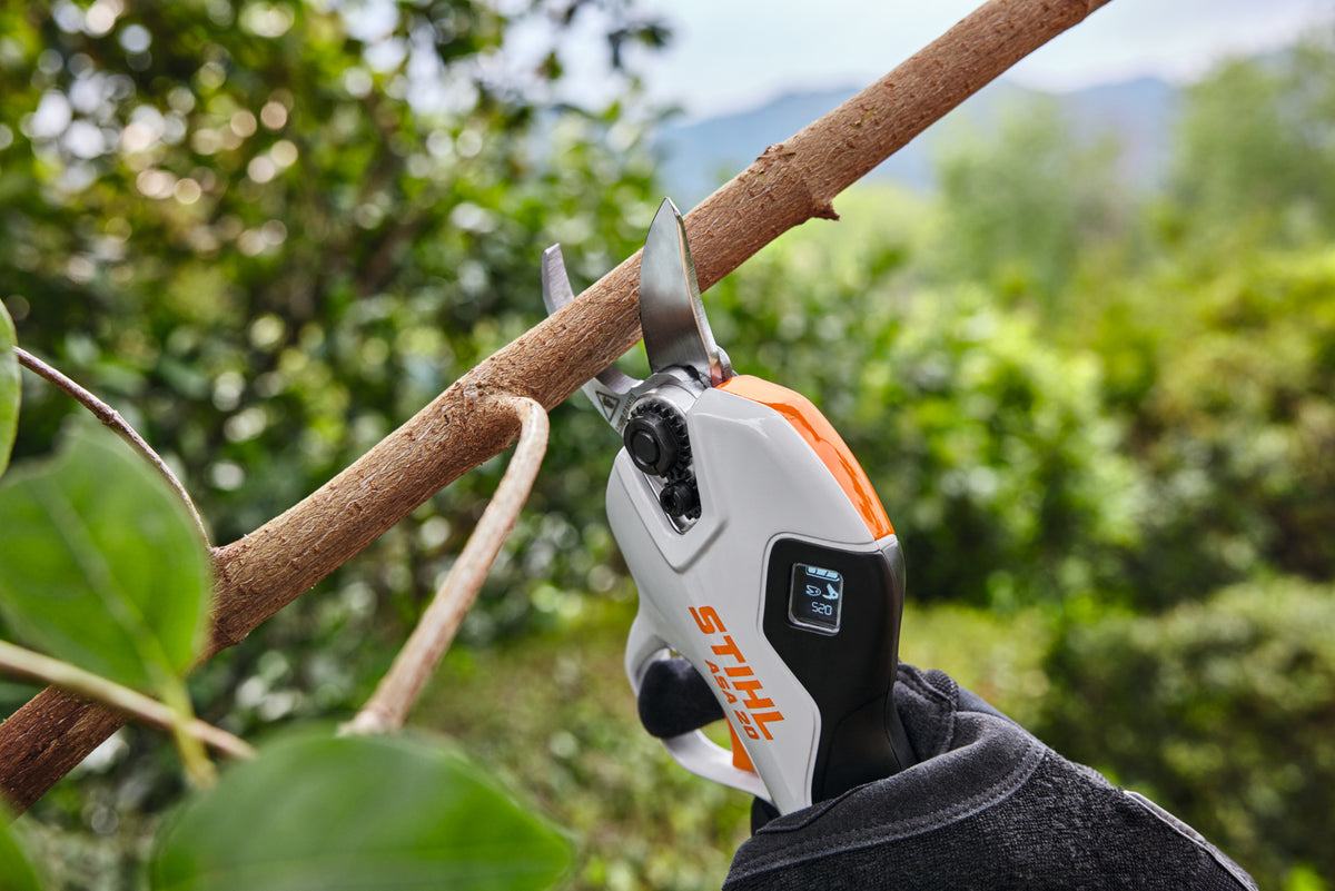 STIHL ASA 20 Set