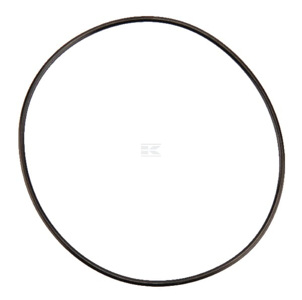 O-Ring 3,00 x 120,00