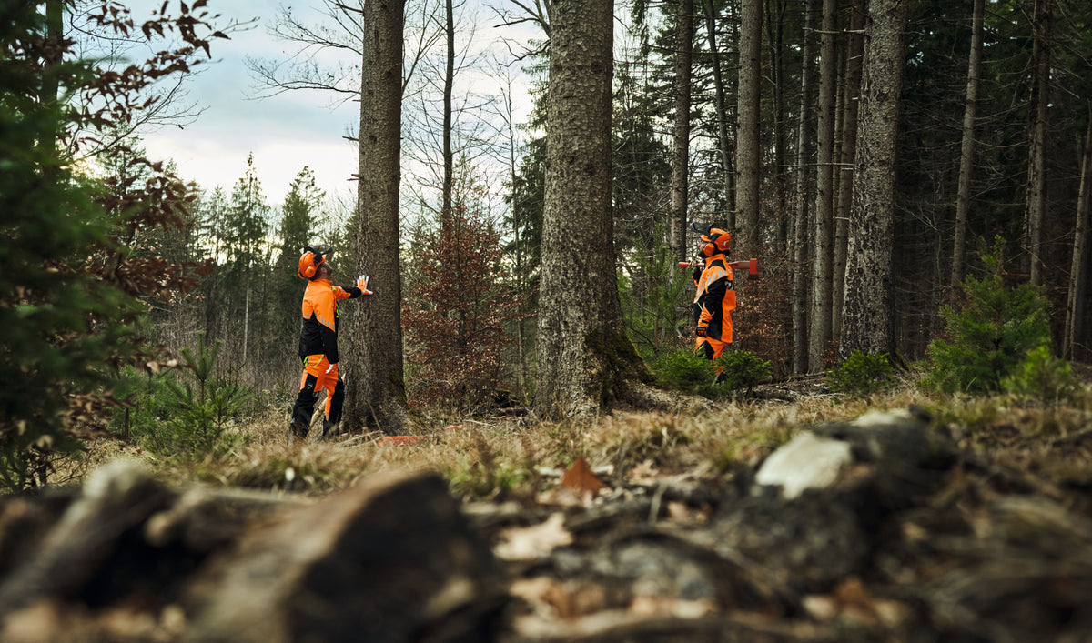 STIHL Bundhose, DYNAMIC DuroTEC, Gr. XL