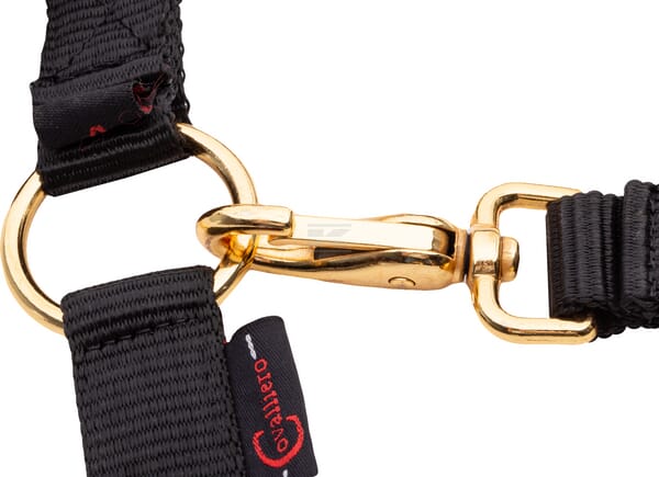 Halter Topline schwarz XFull