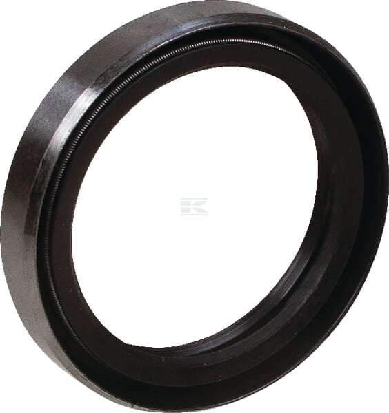 Dichtring