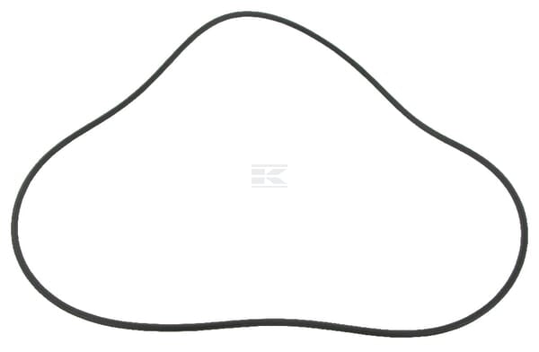 O-Ring
