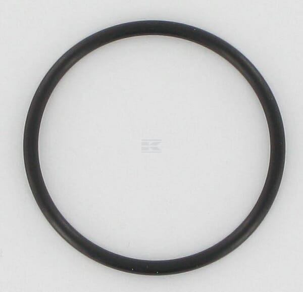 O-Ring 30 x 2 10 St.