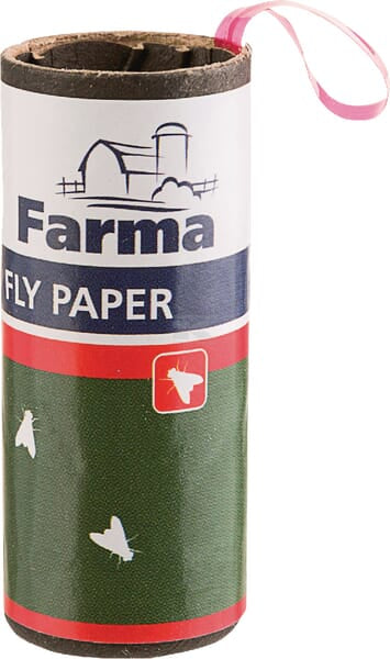 Fliegenpapierstreifen Set-4Stk