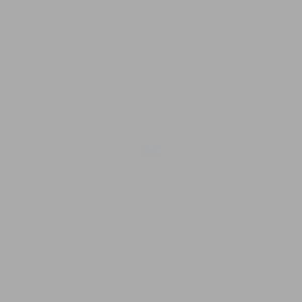 DEUTZ-FAHR silber-metallic 1L