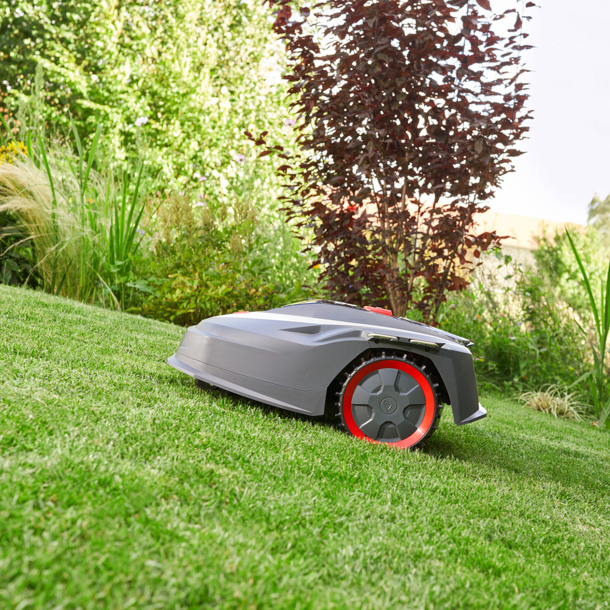 AL-KO AL-KO Mähroboter Robolinho 350W