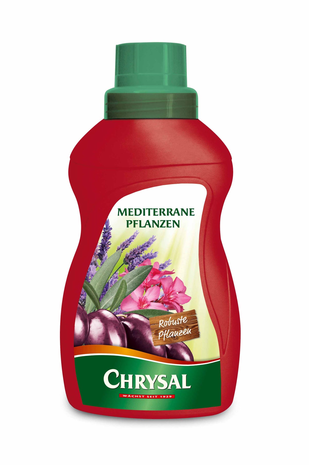 Chrysal Chrysal Mediterrane Pflanzen