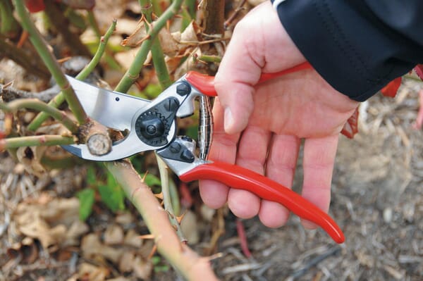 Gartenschere Nr. 11, Felco