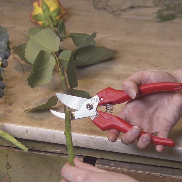Gartenschere 300 Felco