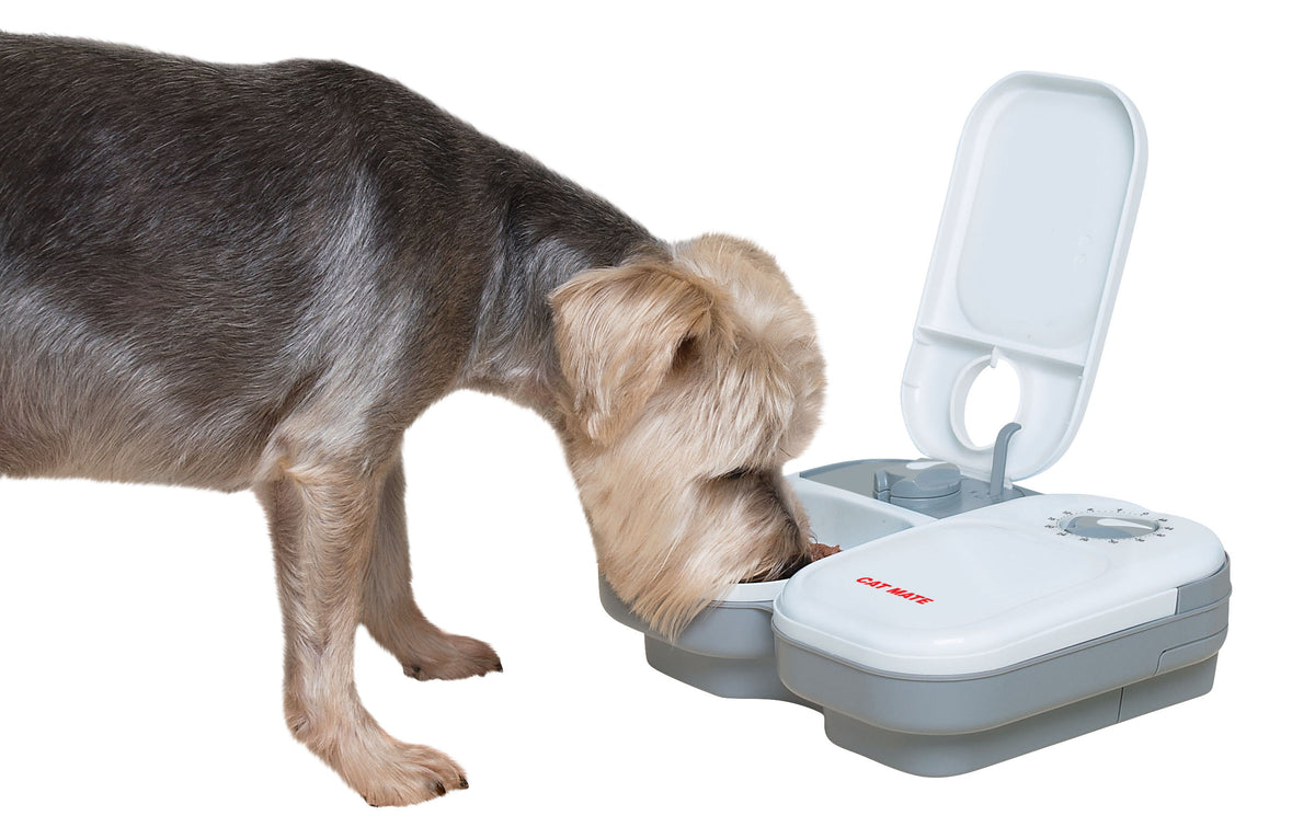 Kerbl Cat Mate® Futterautomat C200
