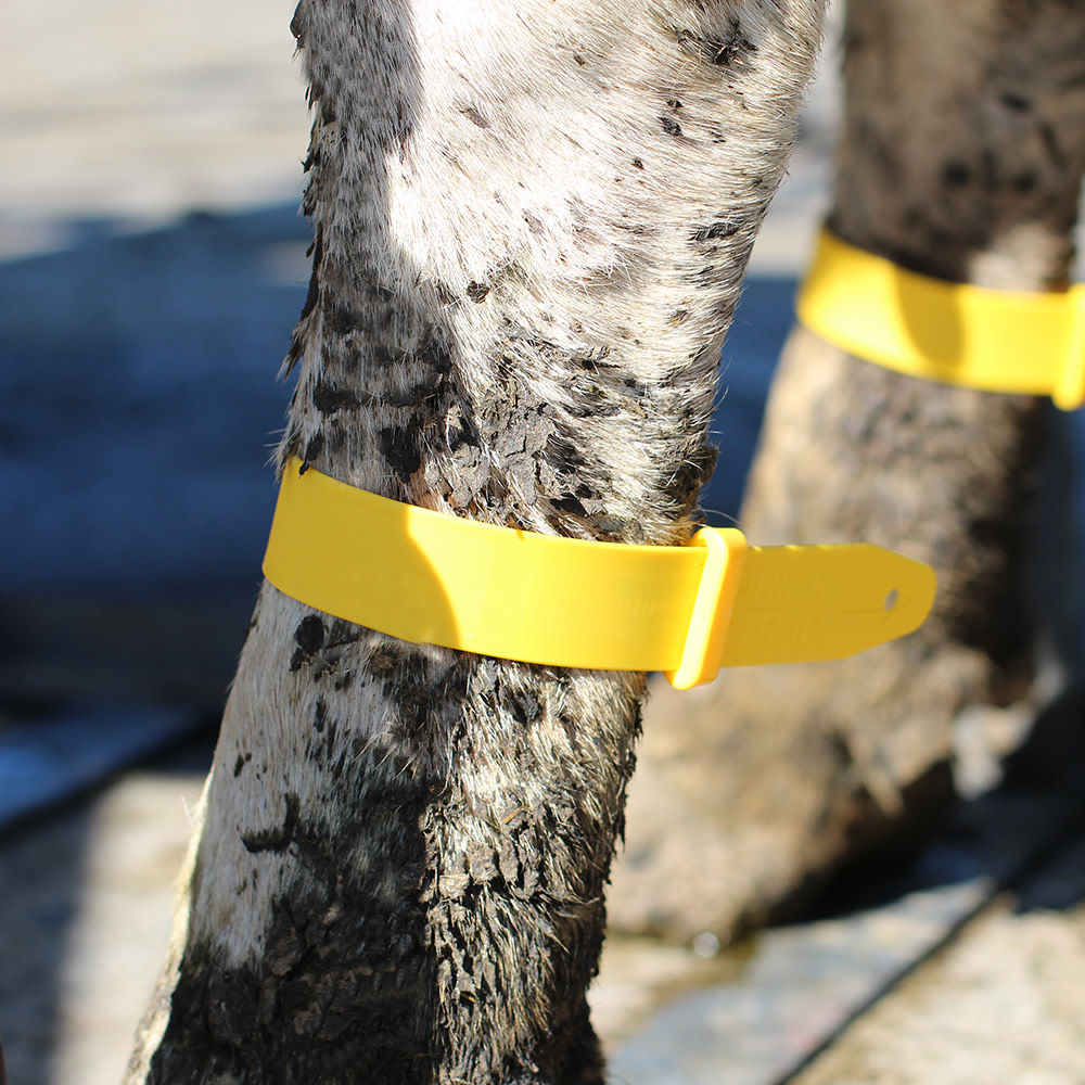 Kerbl Fesselmarkierungsband Quick Strap