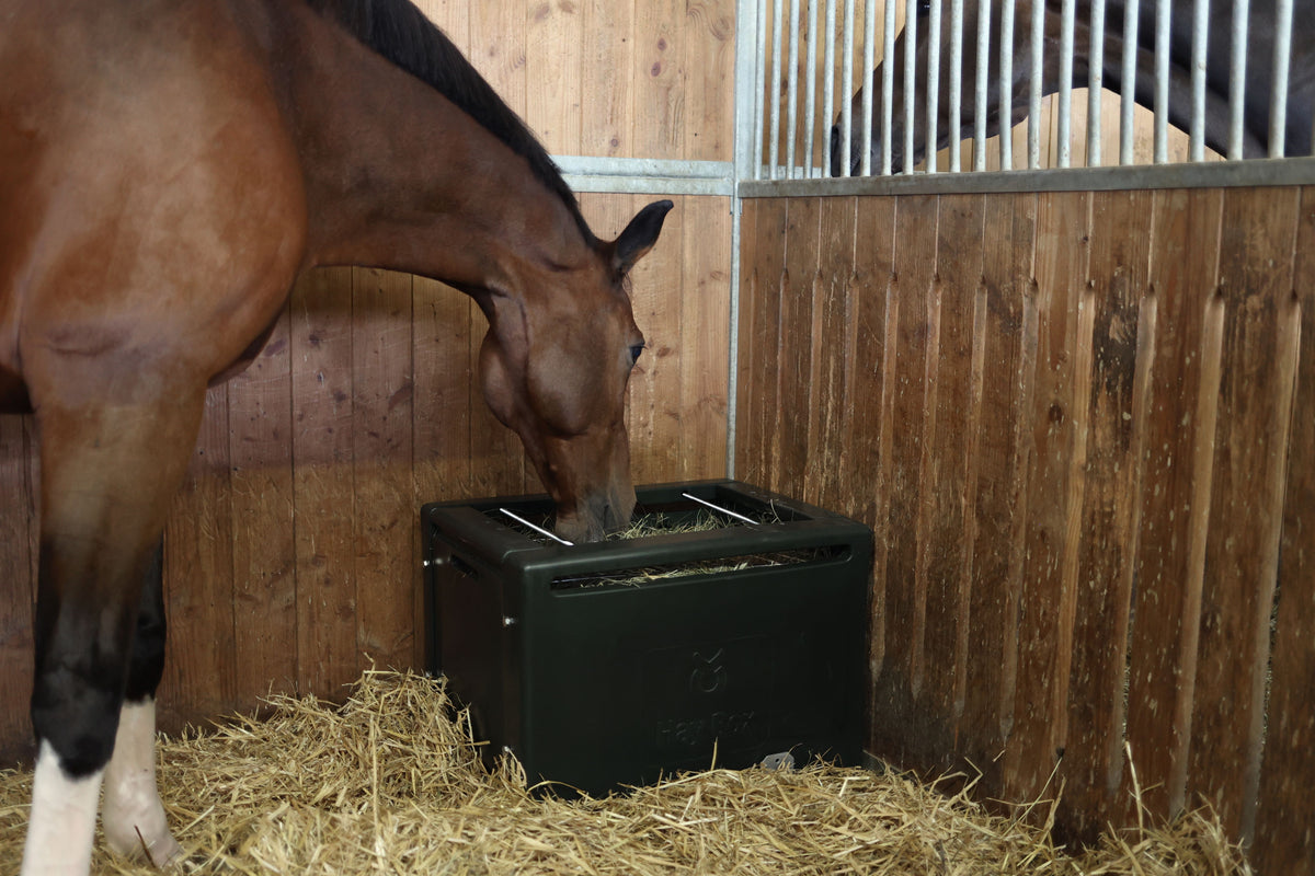 Kerbl Futterraufe HayBox