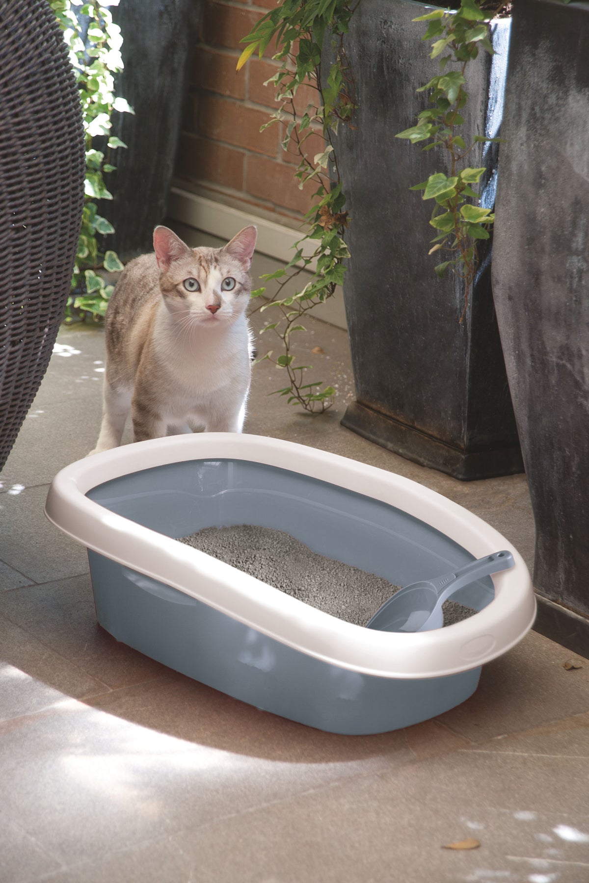 Kerbl Katzentoilette Sprint