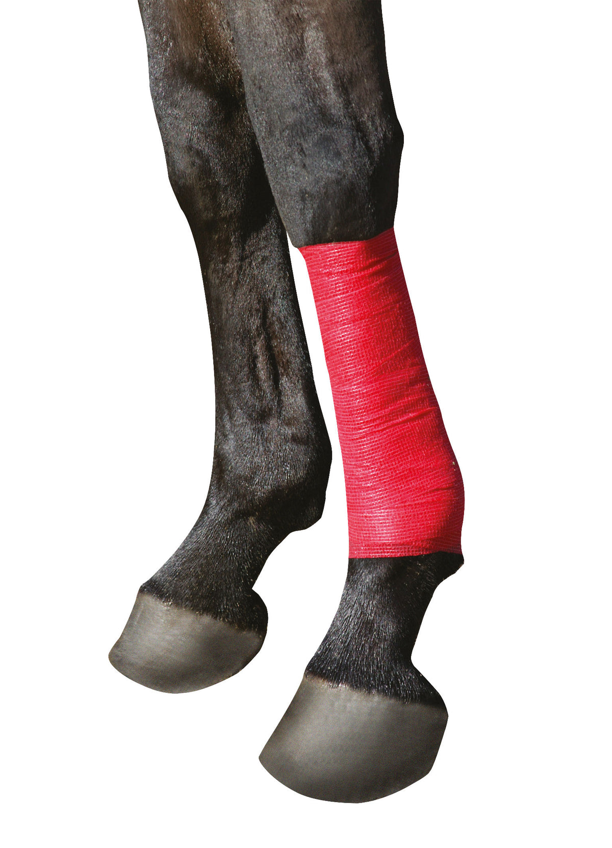 Kerbl Selbsthaftende Bandage EquiLastic