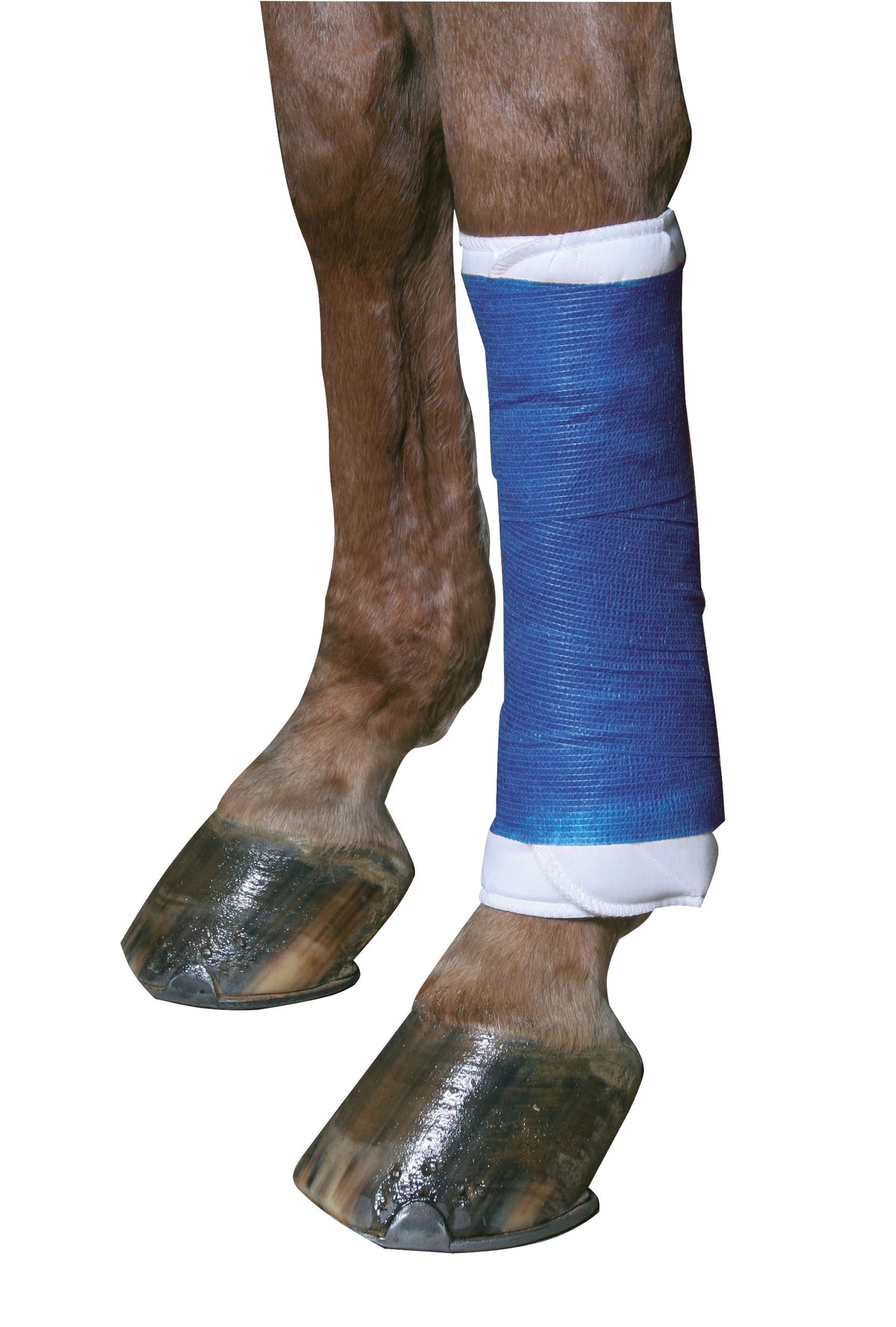Kerbl Selbsthaftende Bandage EquiLastic