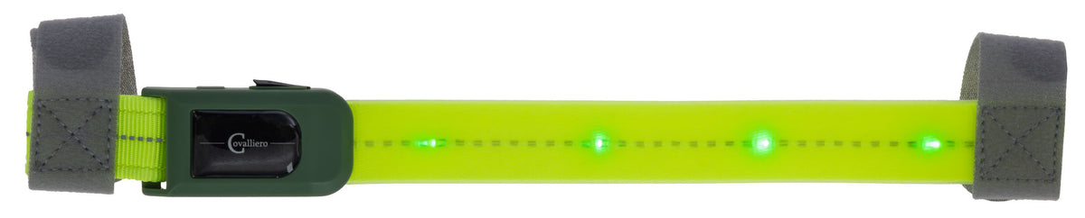 Kerbl Stirnriemen LED
