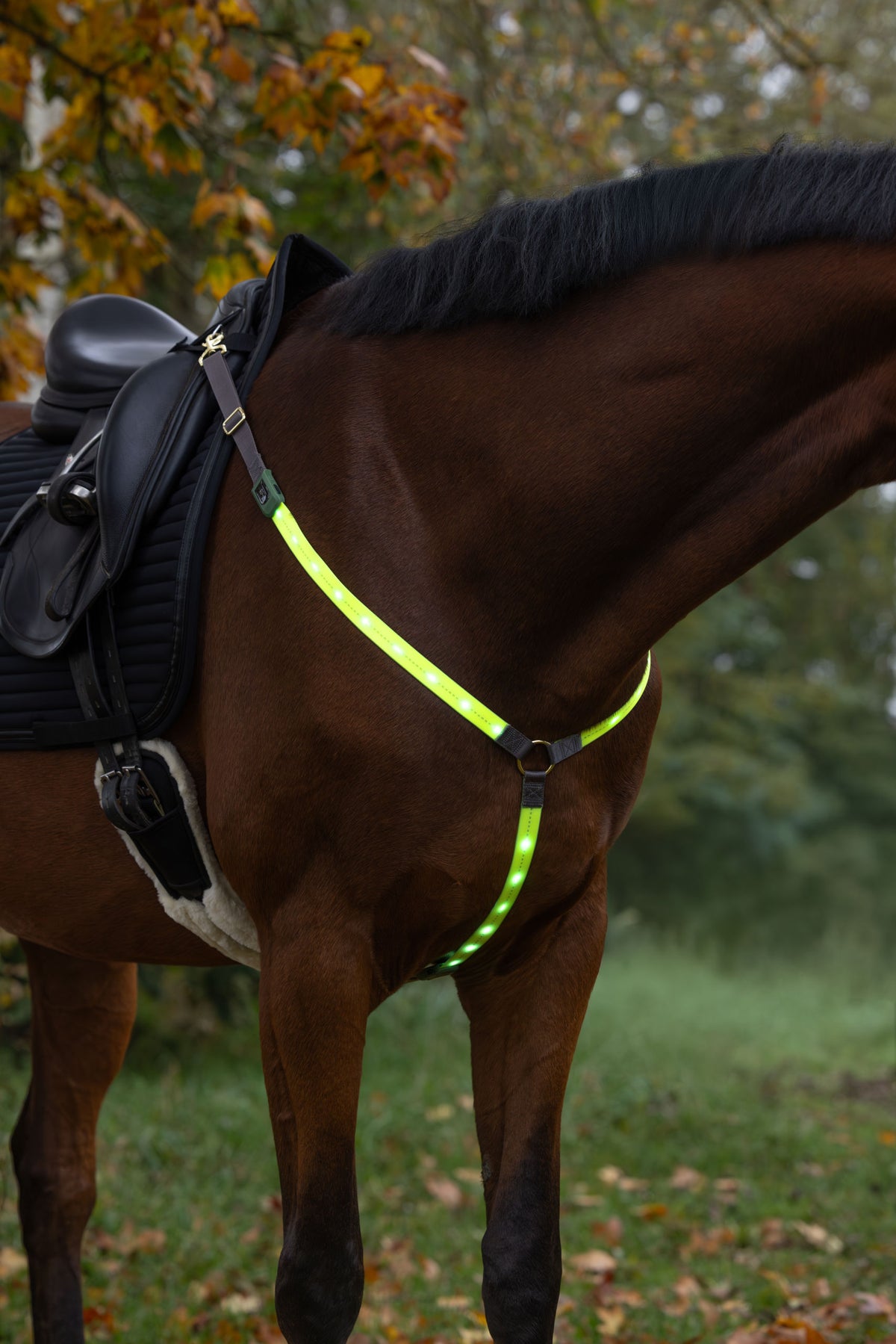 Kerbl Vorderzeug LED