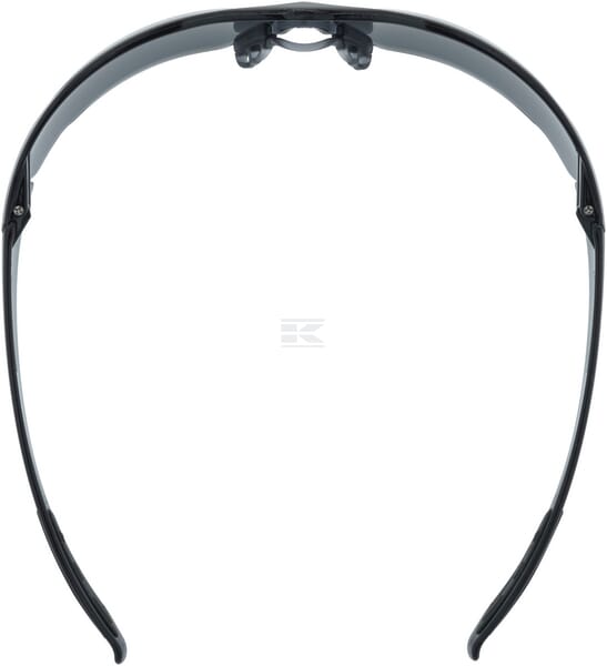 Schutzbrille 03 mit getöntem Glas