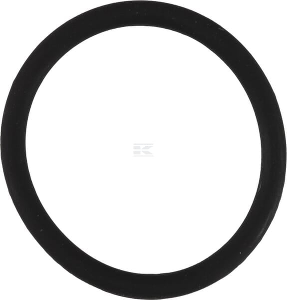 O-Ring 19x2 75 shore Viton 10x