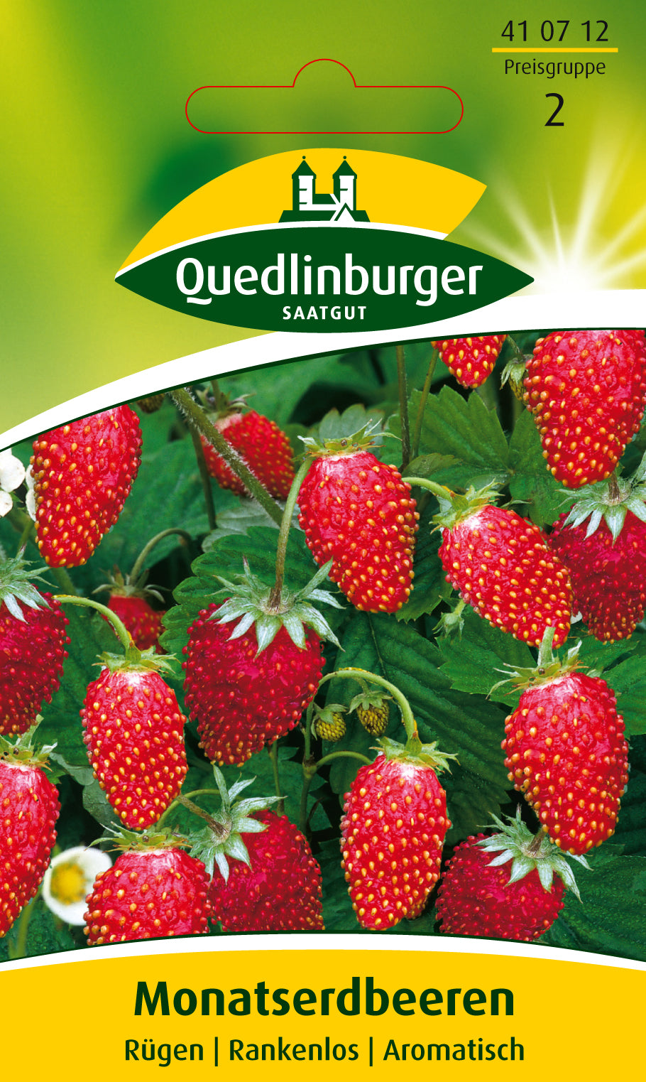 Quedlinburger Saatgut Monatserdbeere „Rügen“
