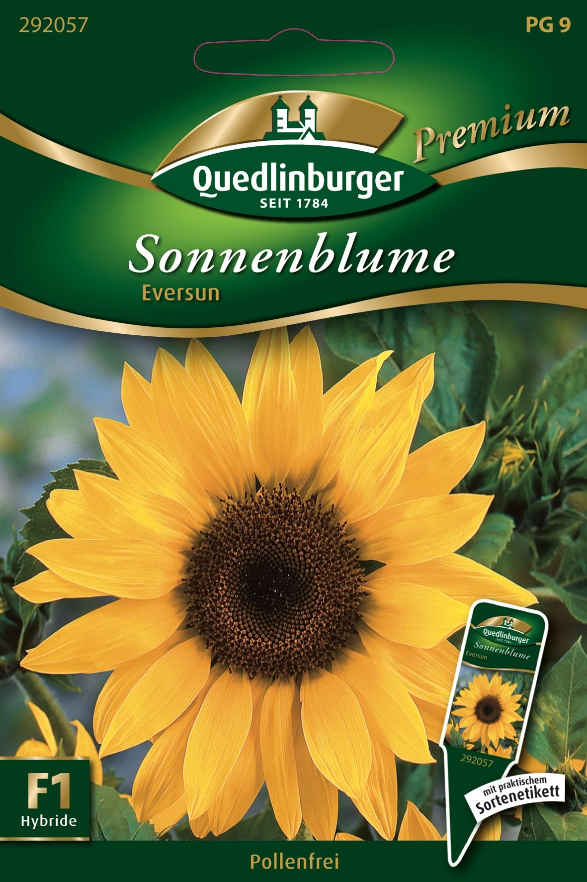 Quedlinburger Saatgut Sonnenblumen „Eversun“