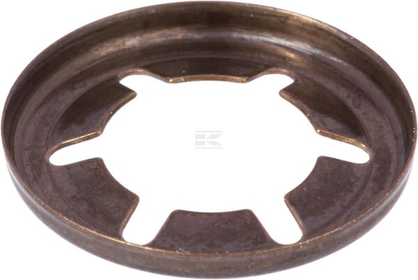 Starlock Sicherungsscheibe außen 10x2,2mm Stahl Starlock