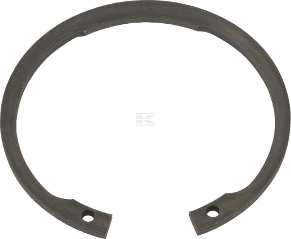 Sicherungsring