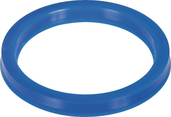 Lippendichtung