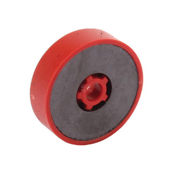Magnet