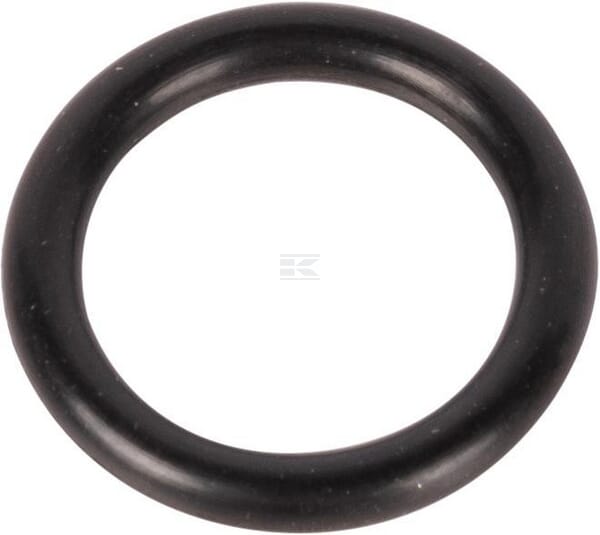 O-Ring