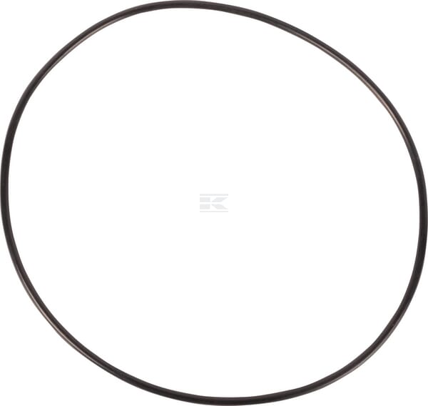 O-Ring