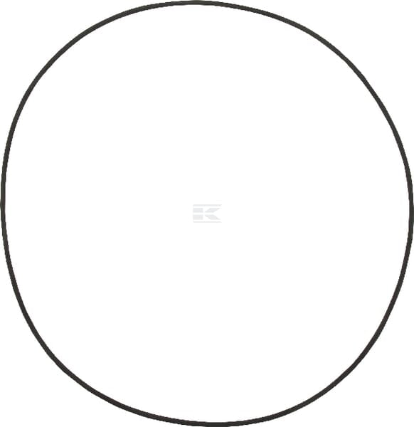 O-Ring