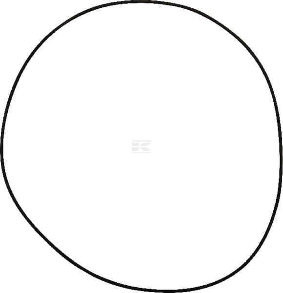 O-Ring