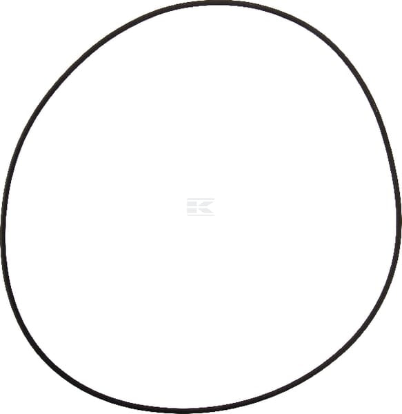 O-Ring
