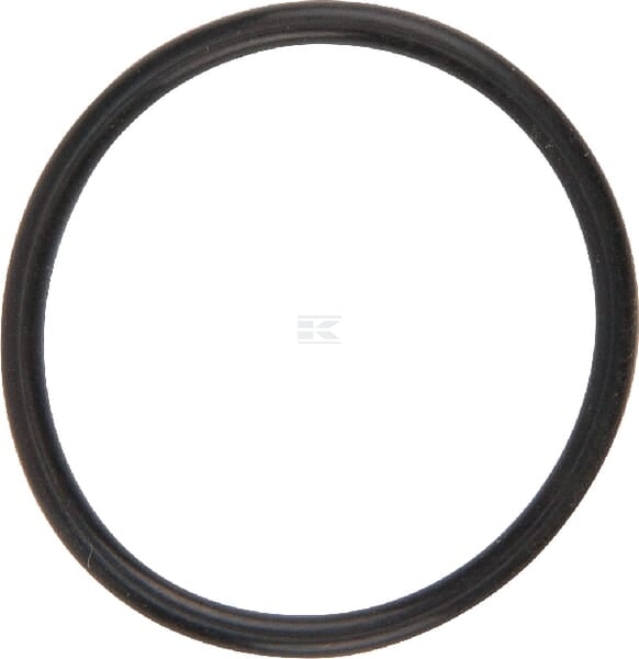 O-Ring