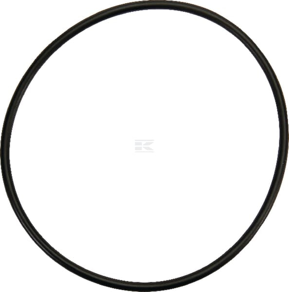 O-Ring