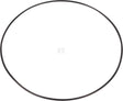 O-Ring