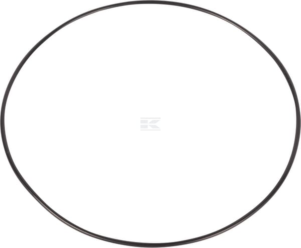 O-Ring