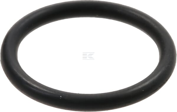 O-Ring