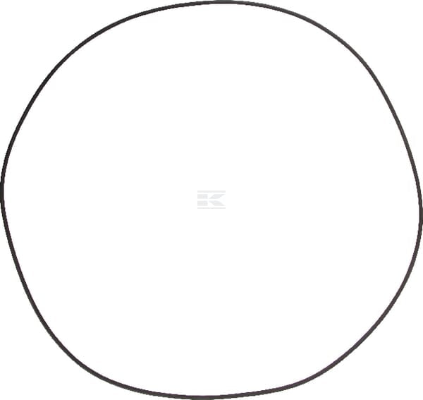 O-Ring