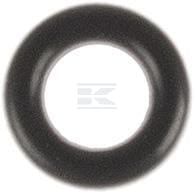 Dichtring