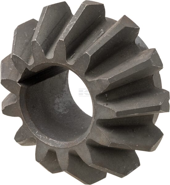Ritzel