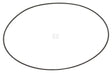 O-Ring/Filter-Dichtring Solo