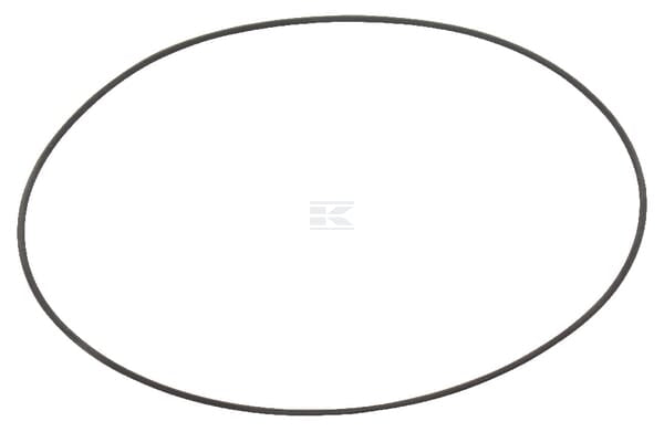 O-Ring/Filter-Dichtring Solo