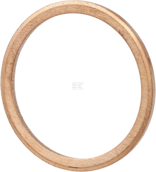 Dichtring