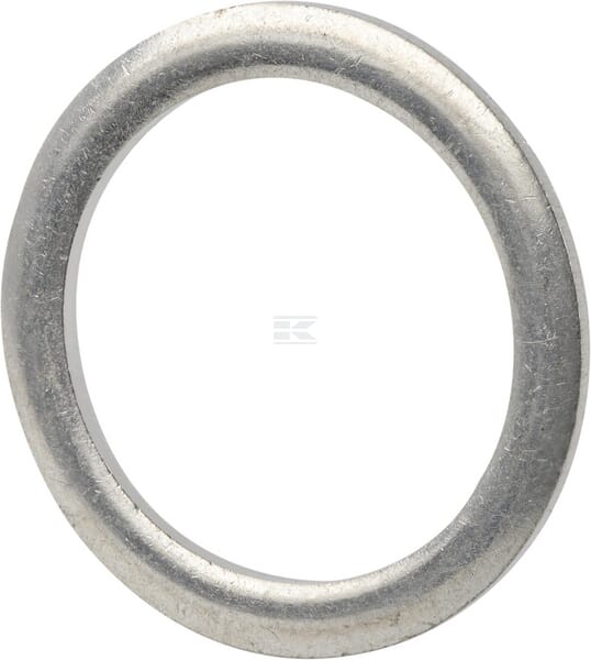 Dichtring