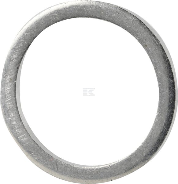 Dichtring