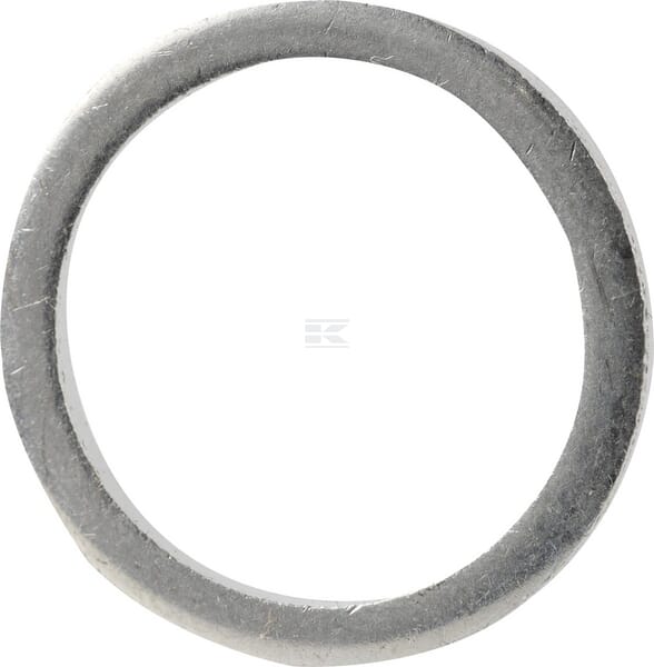 Dichtring
